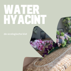 Rieten kist - Waterhyacint